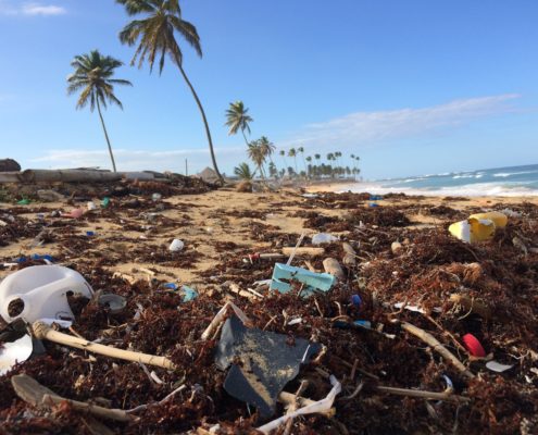 "Plastic Harvest & Upcycle"